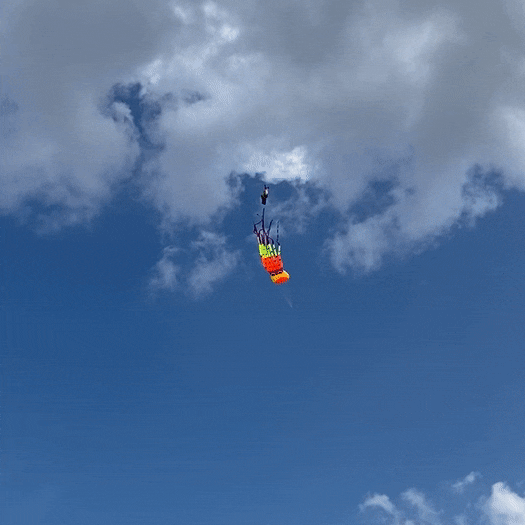 An octopus kite with eight billowing arms.