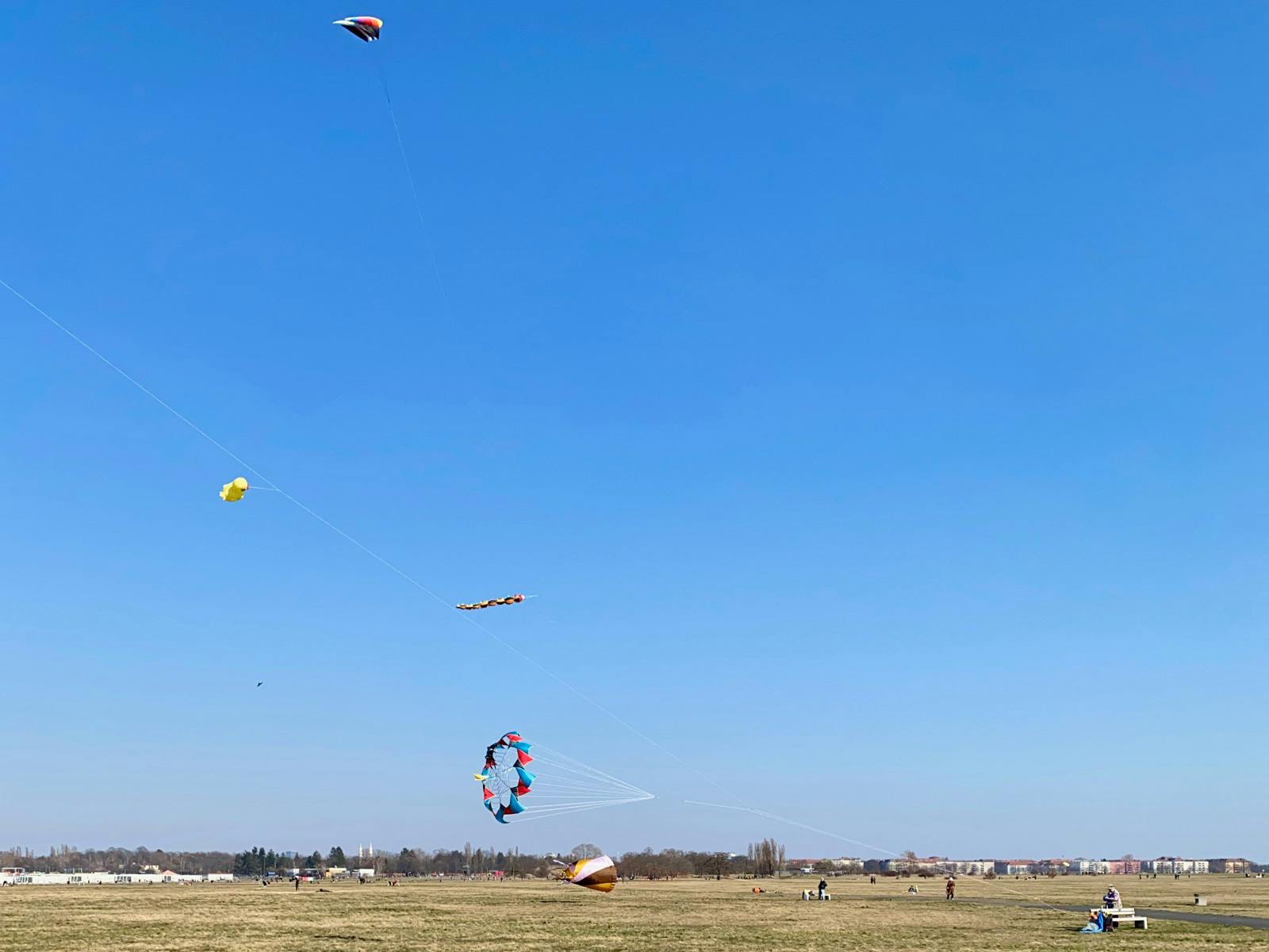 A passive kite flyer sits on a bench while 4 different kites fly in front and above them.