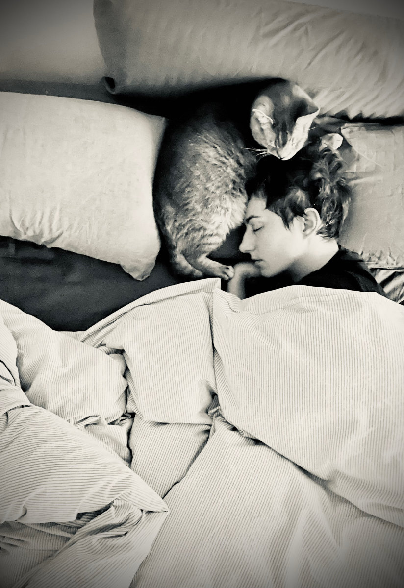 Minou sleeping on our bed in between the pillows, his body  wrapped around my head.