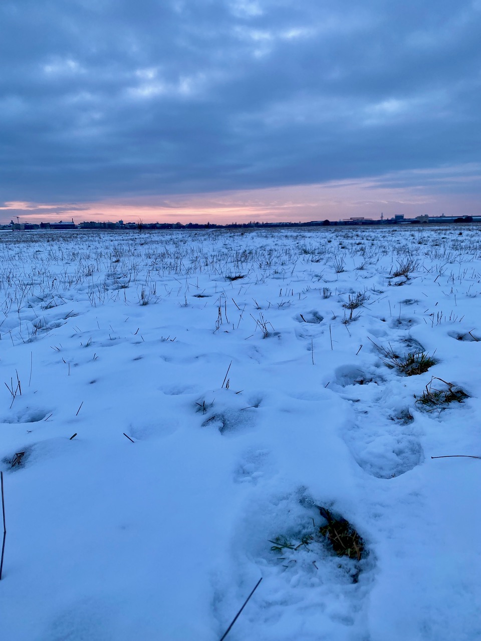 The sliver of sunset, dusty pink sky in a snow covered field.